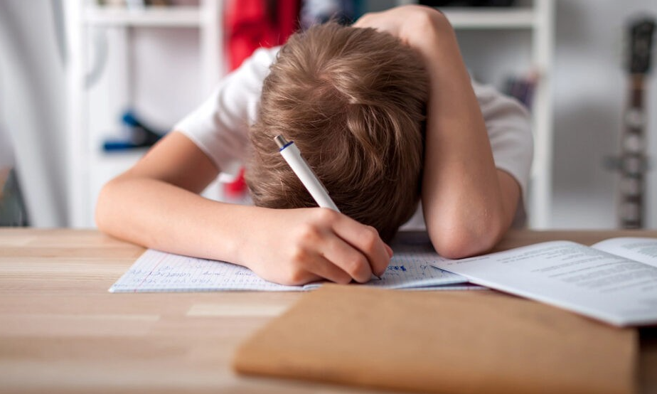 Ребёнок не хочет делать уроки: причины и возрастные особенности